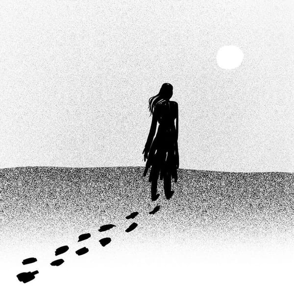 Reflections on Seven Fallen Feathers